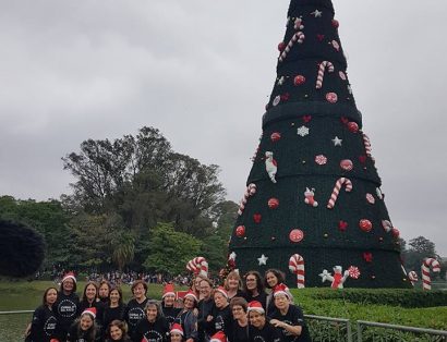 Coral em frente a uma árvore de natal