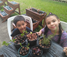 Crianças plantando