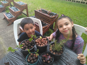 Crianças plantando