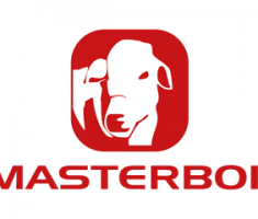 Masterboi
