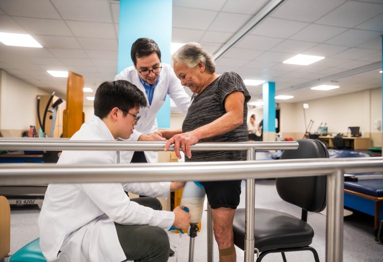O treino de marcha é um conjunto de atividades que tem como objetivo desenvolver competências para as habilidades de caminhar. Ele engloba exercícios em superfícies diferentes, além de treino na esteira quando necessário.